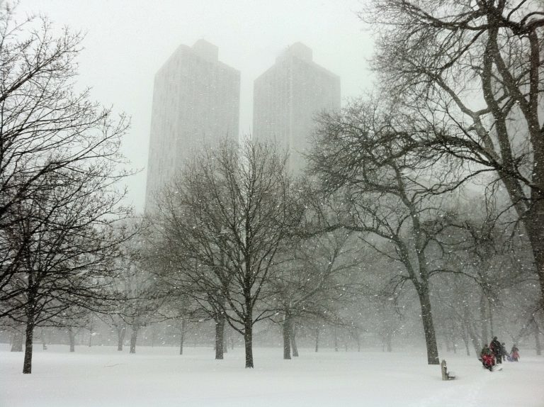 chicago 77869 1920 1