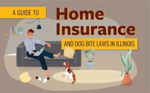 A Guide to Home Insurance and Dog Bite Laws in Illinois