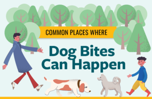 Common Places Where Dog Bites Can Happen Thumbnail