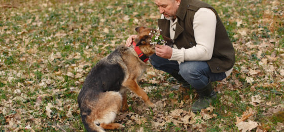 It's crucial to take proactive steps to protect your elderly loved ones from dog attacks