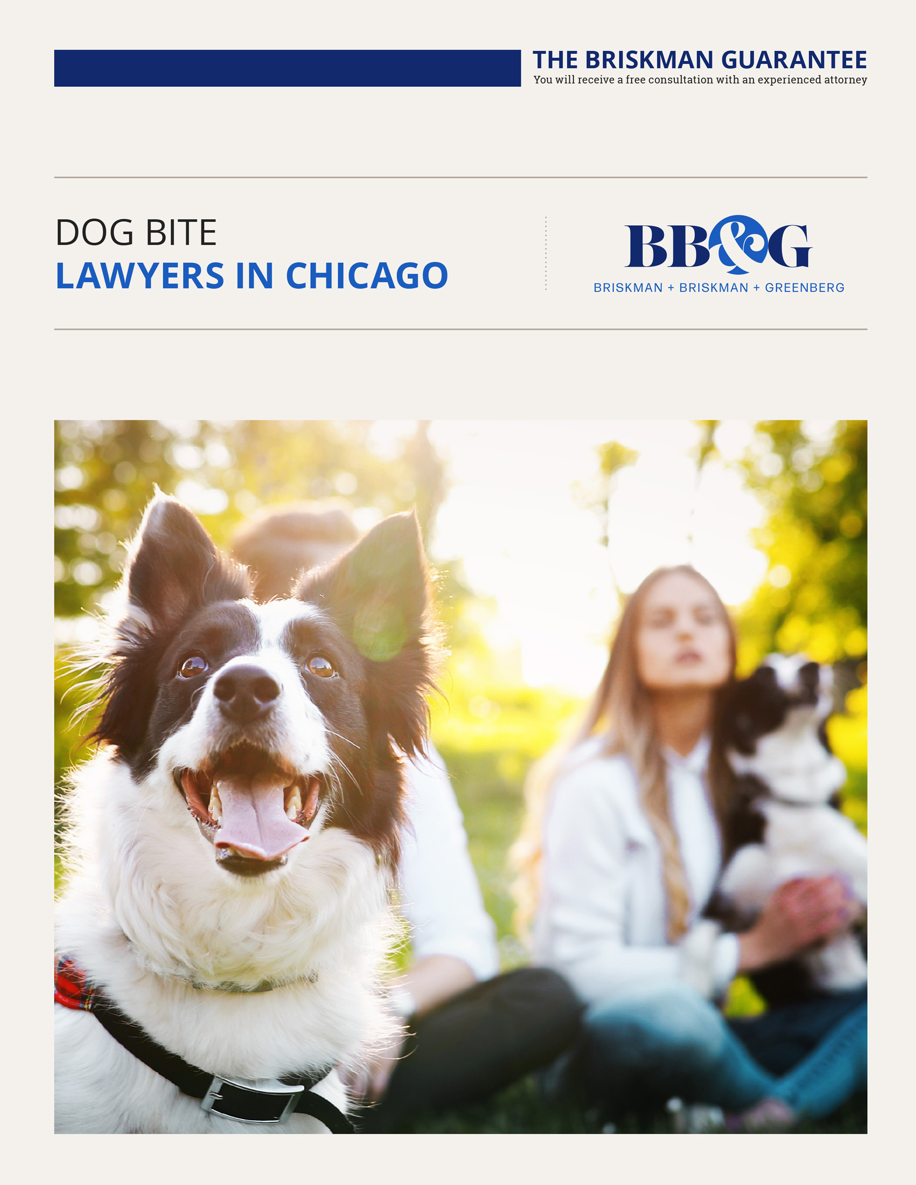 Download our dog bite ebook