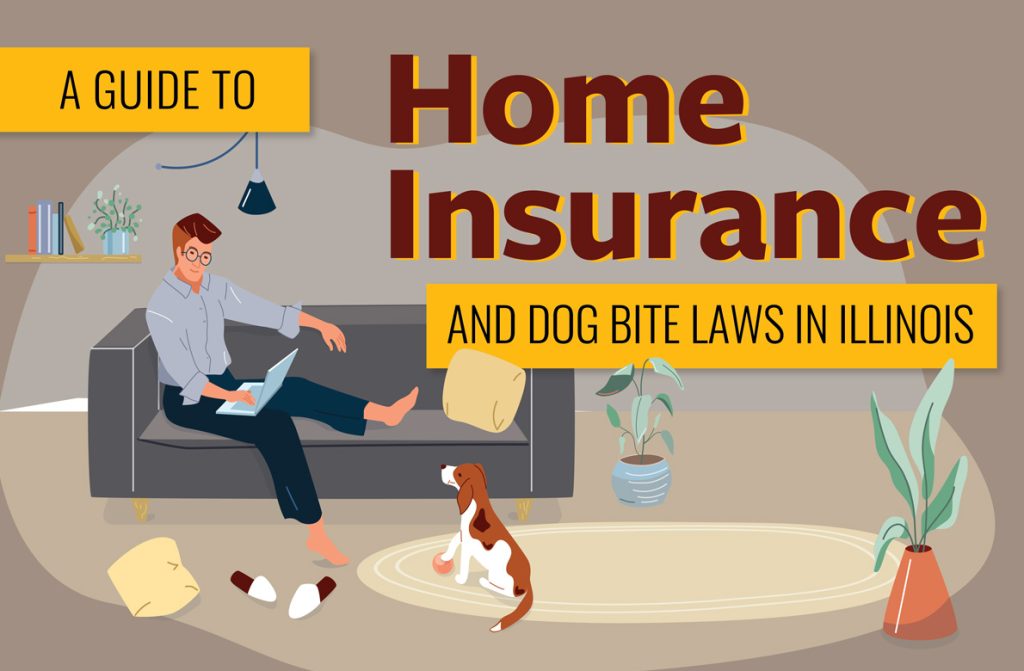 Guía sobre el seguro de hogar y las leyes sobre mordeduras de perro en Illinois