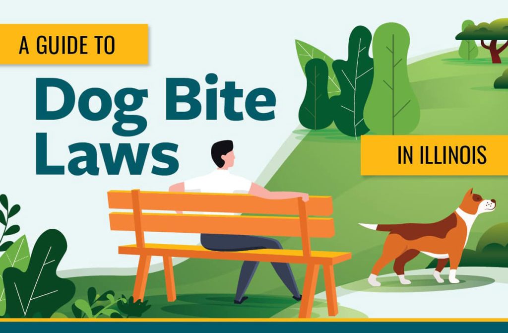 Guía de leyes sobre mordeduras de perro Chicago