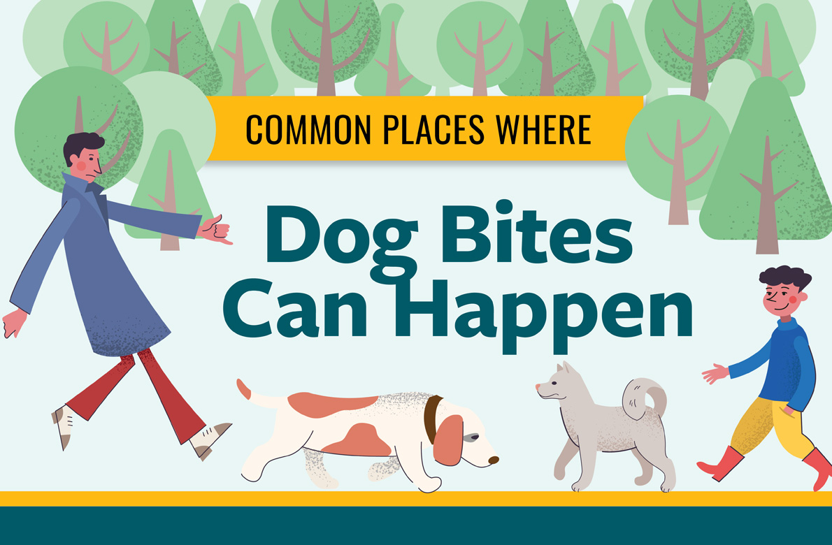 Common places where dog bites can happen