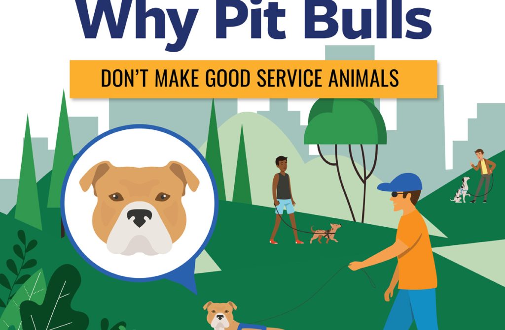 Por qué los pit bulls no son buenos animales de servicio