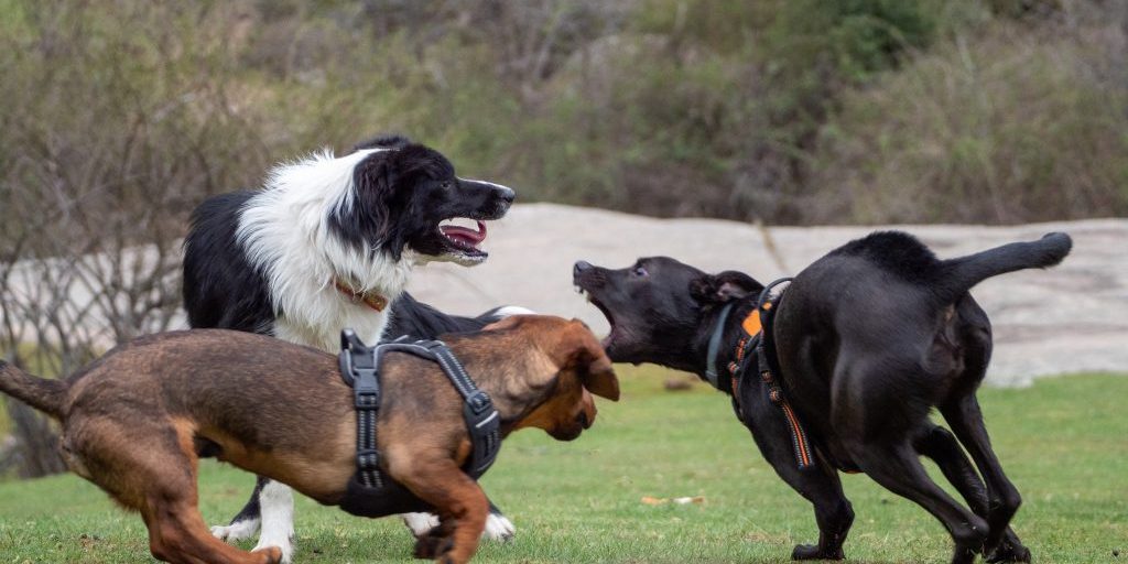 Everyday activities seem harmless until an injury lands you or a loved one in the emergency room.