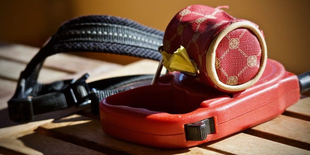 Dog attack leads to mandatory leash rule in Illinois village