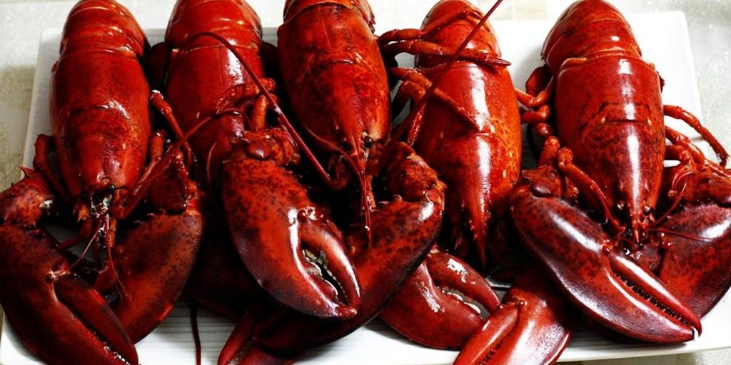 lobsters-2916160_1920